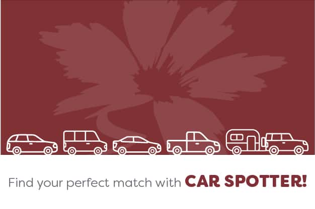 Gráfico Car Spotter con un automóvil, camioneta, camioneta