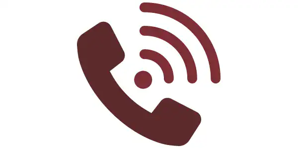 Phone icon representing the Digital Services option for Ask Eva.