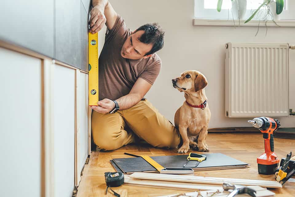 Hombre arreglando casa con mascota cerca